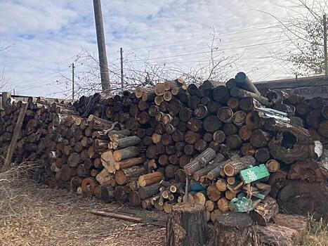 Житель Шилки сутки перевозил украденные дрова на свой участок, чтобы натопить дом