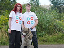 Пока мы не встретились