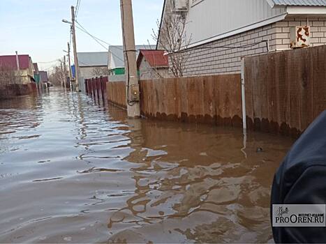 Дом затопленный - есть, а материальной помощи – нет... Хозяйка дома в СНТ «Виктория» не может получить выплаты