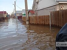 Дом затопленный - есть, а материальной помощи – нет... Хозяйка дома в СНТ «Виктория» не может получить выплаты