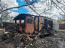 Уралец поджег садовый домик с приятелями, не пустившими его внутрь