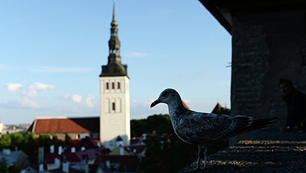 В Эстонии отказались досрочно освободить осужденного за шпионаж в пользу РФ