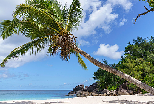 Любимый курорт богачей подешевеет для россиян