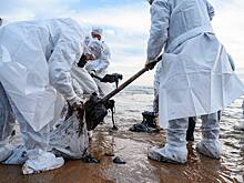 Нижегородские волонтеры рассказали, как очищают побережье Черного моря от мазута