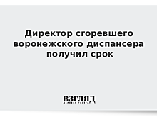 Директор сгоревшего воронежского диспансера получил срок