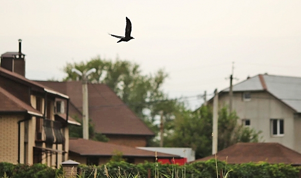 На каких основаниях можно зайти на чужой участок 
