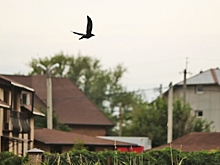 На каких основаниях можно зайти на чужой участок 