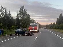 Водитель погиб на трассе в Удмуртии после столкновения с грузовиком