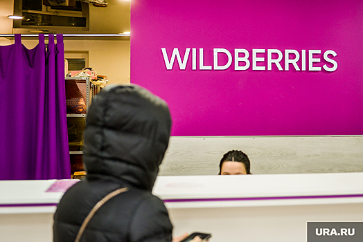 Челябинский профсоюз Wildberries призвал директора маркетплейса к переговорам