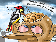 Выпускницы прошлого года сравнили подготовку к ЕГЭ — с репетитором и самостоятельно