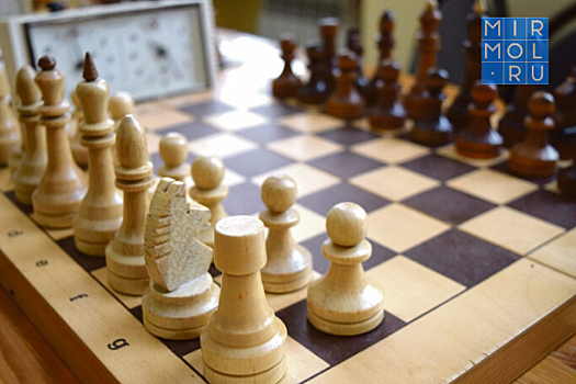 Городской онлайн-турнир по шахматам пройдет в Махачкале