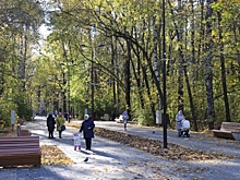 Стало известно о расходах Москвы на цели устойчивого развития