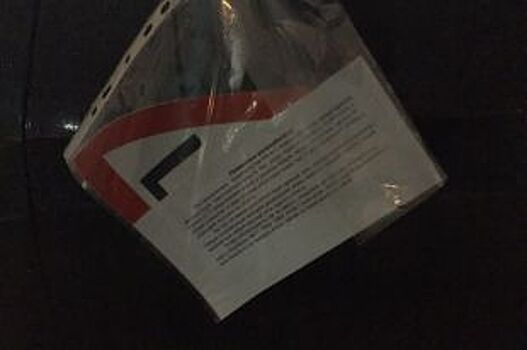 Воронежским водителям оставляют наклейки «Шипы» и просят вознаграждение