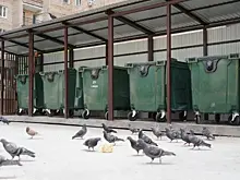 В Самаре отремонтировали и установили более 300 мусорных контейнеров