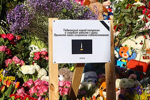 Родственница террориста выразила соболезнования из-за трагедии в «Крокусе»