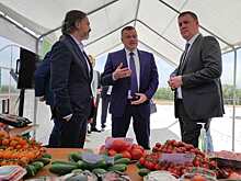 Мичуринский "РОСТ" обеспечит рост овощей в России