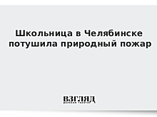 Школьница в Челябинске потушила природный пожар