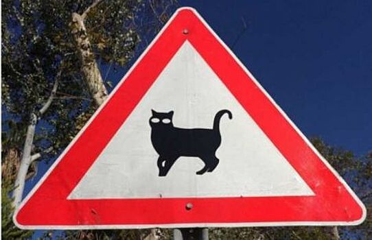 В Турции появился дорожный знак «Осторожно, коты»