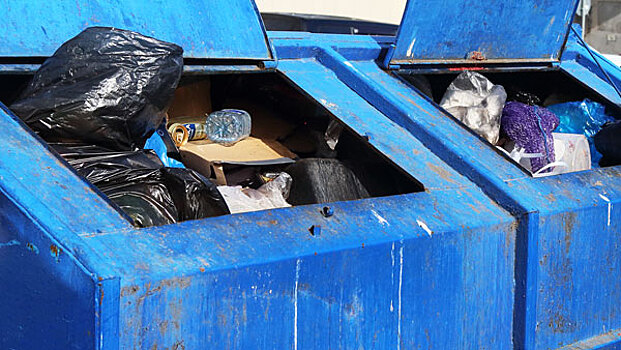 Юрист рассказал о наказании за выброшенный не на помойку мусор