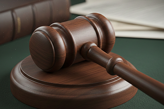 Гендиректор АО «Акватик» Башкиров помещен под домашний арест по делу о трагедии на Беломорканале