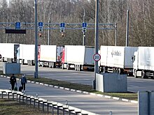 Литва повторно попросит Белоруссию пропустить через границу свои фуры