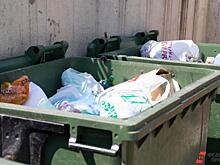 Общественники предложили крупно штрафовать бизнес за отказ платить за мусор