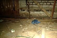 Жительница Владивостока заточена в подвале для нелегалов в Пусане