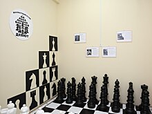 Курские школьники выступят в Сочи в финале всероссийских соревнований по шахматам
