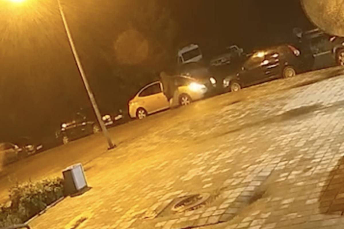 Россиянин с топором набросился на чужие автомобили и попал на видео