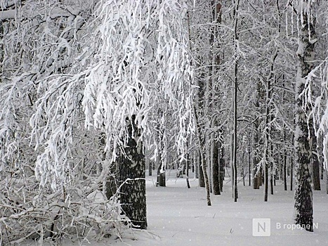 Морозы до -14°С придут в Нижний Новгород на этой неделе