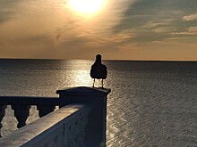 Учебные стрельбы пройдут в акватории Черного моря около Сочи 20 декабря