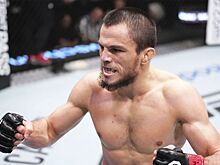 Умар Нурмагомедов — Кори Сэндхаген, когда бой, кто фаворит, UFC в Абу-Даби, сколько раз Умар Нурмагомедов снимался с боёв