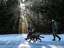 Добровольцы, защищающие границу, получат статус ветерана боевых действий