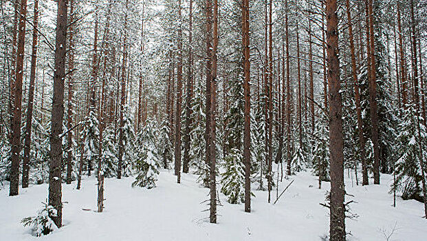 Эксперт объяснил суть конфликтов между гражданами и заповедниками