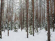 Эксперт объяснил суть конфликтов между гражданами и заповедниками