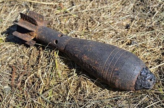 В Орловском районе нашли 20 миномётных мин