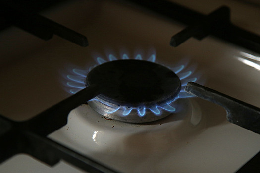 В ФРГ требуют от правительства возобновить поставки газа из России