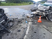 Стало известно о дальнейшей судьбе выжившей в страшной аварии под Новосибирском девочки