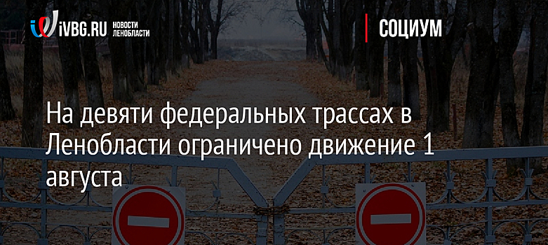 На девяти федеральных трассах в Ленобласти ограничено движение 1 августа