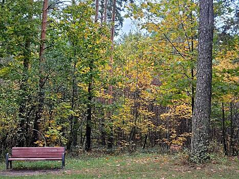 Мосприрода подвела итоги экоакции в парке «Кузьминки-Люблино»