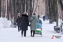 В Екатеринбурге осудили лжемать за аферу: она не единственная в России