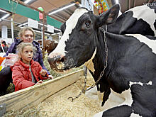 В двадцатый раз открылась главная агропромышленная выставка страны