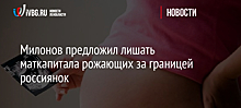Милонов предложил лишать маткапитала рожающих за границей россиянок