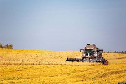 Свердловские аграрии засеют более 100 тыс. гектаров земли в 2025 году