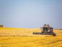 Свердловские аграрии засеют более 100 тыс. гектаров земли в 2025 году