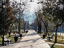 Волгоградцы определили, какие территории благоустроят в 2023 году