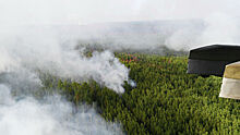 Власти обвинили в искажении статистики по лесным пожарам