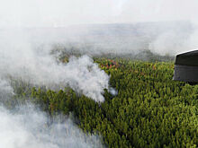 Власти обвинили в искажении статистики по лесным пожарам