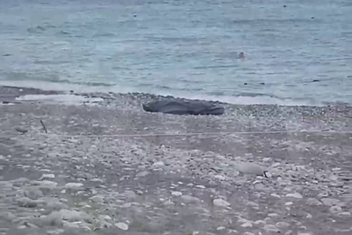 Катавшиеся на надувном банане в море россияне нашли в воде бездыханного человека