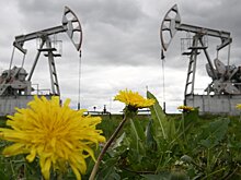 В Роснедрах рассказали, где возможны открытия крупных месторождений
